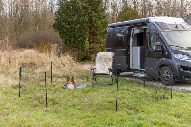 Camping mit Hund: Stressfrei & ohne Leinenchaos | Pfotenwild