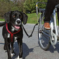 Trixie Hunde-Fahrradset (für kleine und mittelgroße Hunde)