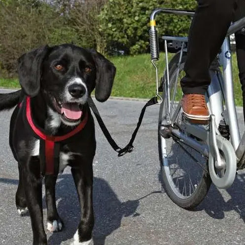 Trixie Hunde-Fahrradset (für kleine und mittelgroße Hunde)