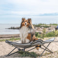 Trixie Campingbett für kleinere Hunde