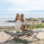 Trixie Campingbett für kleinere Hunde