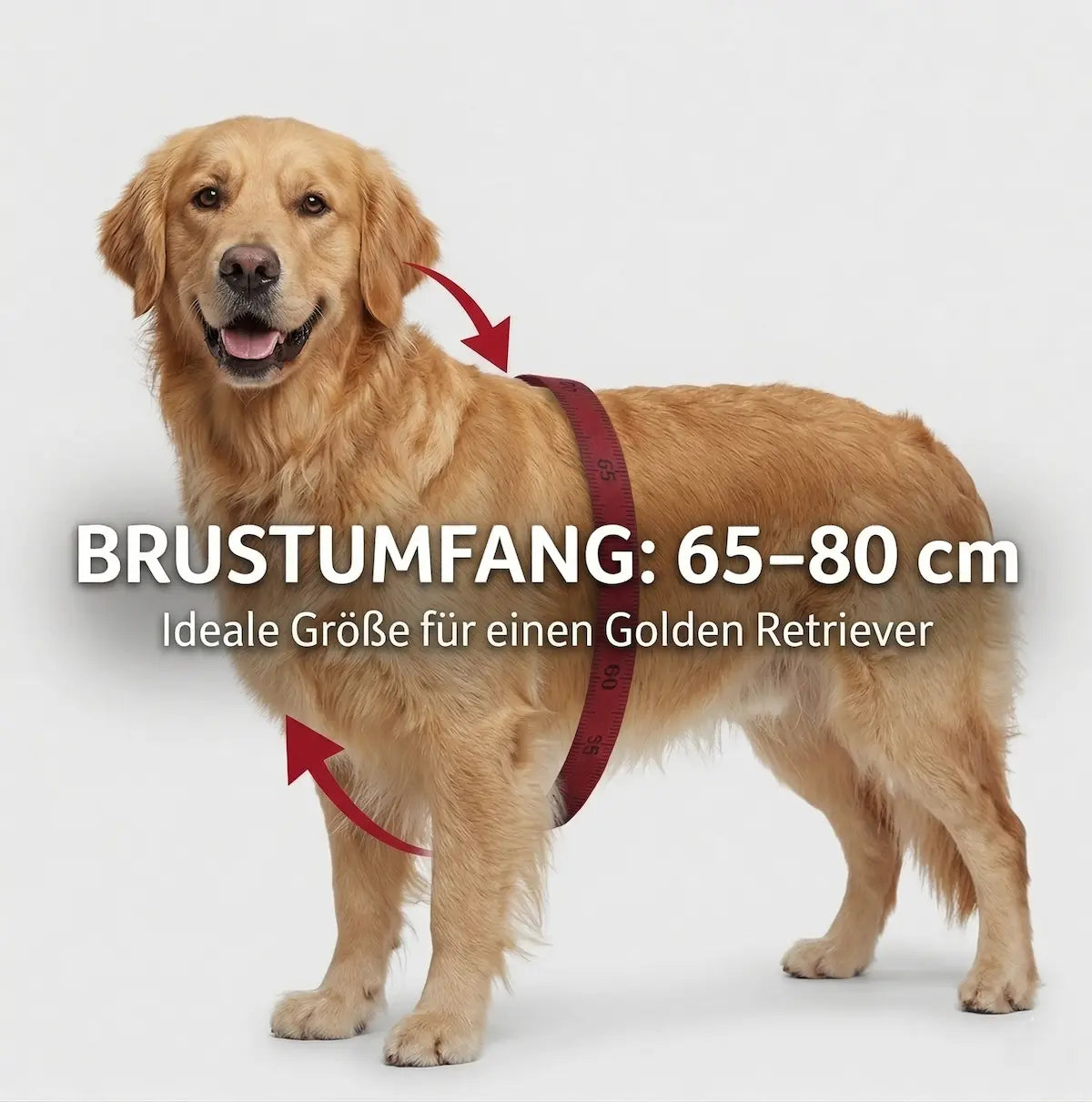 Trixie Auto-Geschirr Comfort