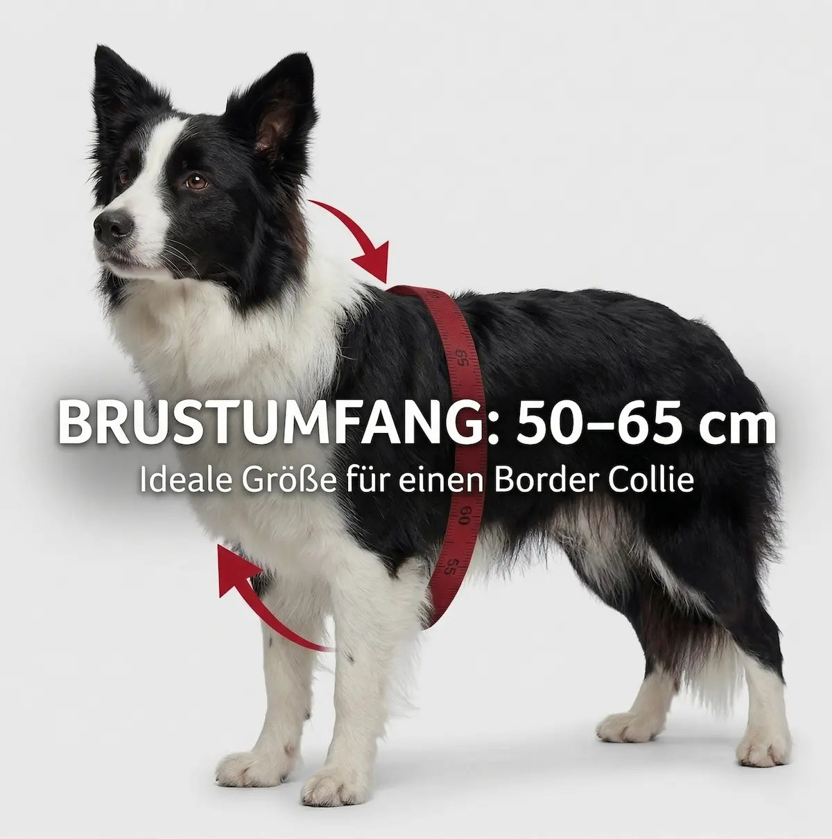 Trixie Auto-Geschirr Comfort