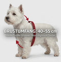 Trixie Auto-Geschirr Comfort