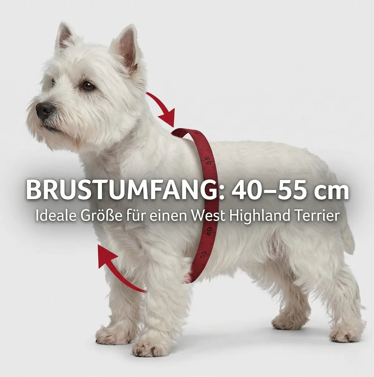 Trixie Auto-Geschirr Comfort
