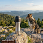 Duvoplus Edelstahl Reise-Trinkflasche