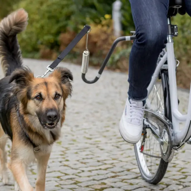 Trixie Hunde-Fahrradset (für mittelgroße und große Hunde)