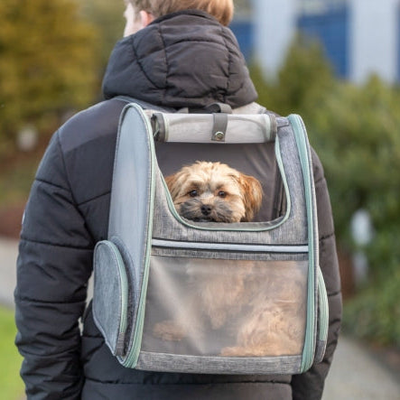 Kleiner Hund schaut aus dem Trixie Hunderucksack auf dem Rücken einer Frau beim Spaziergang